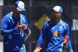 Nathan Lyon and Matthew Wade have created a crowd hit this summer.