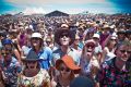 Music-lovers out at Falls Festival last year. The AMA has urged all festival-goers to look after themselves, and their ...