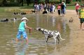 You can take your dog swimming Lake Ginninderra.