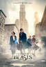 Fantastic Beasts and Where to Find Them Poster