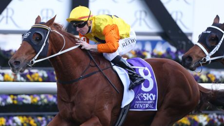 Marvel: Decision Time steps out in the Canterbury Classic.