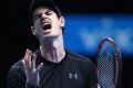 Murray has opted to skip the Hopman Cup for Abu Dhabi as his Australian Open lead-in.