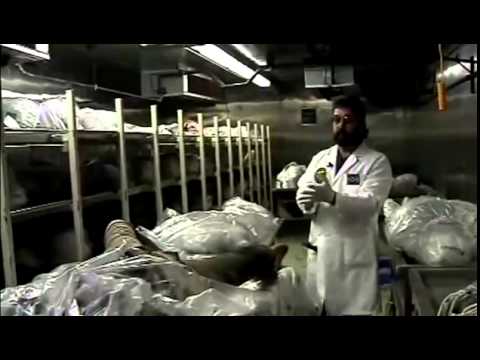 CREEPIest video on YOUTUBE :  LA Coroner says DEMONS coming from another dimension