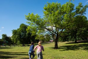 Boorondara Park is, at first glance, quite English-feeling.