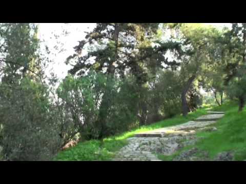 The theatre of Dionysus and  Philopappos hill (Αθήνα/Athens)