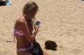 Tourists delighted in a visit from an echidna on Shelly Beach near Manly on Friday.