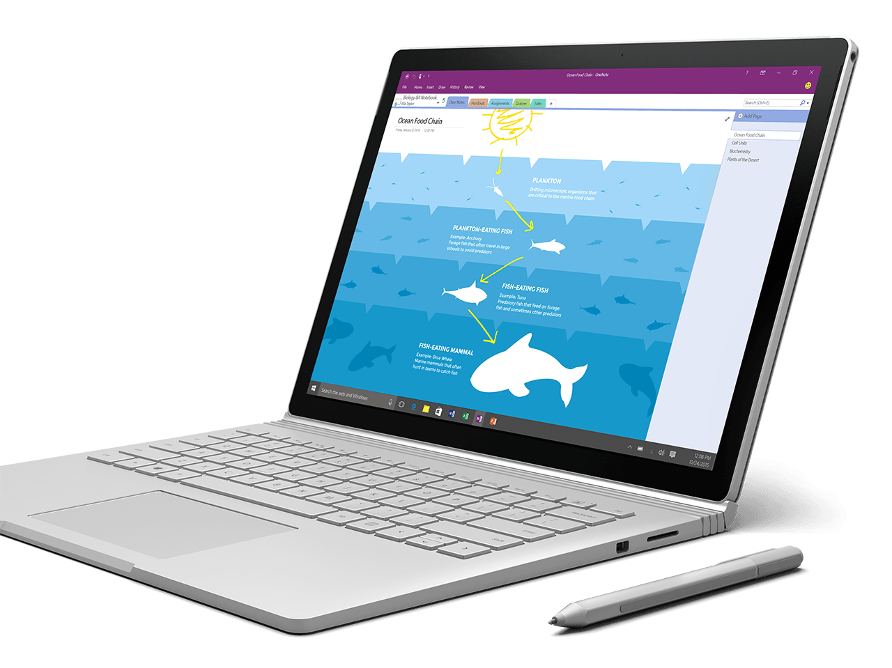 Photo of OneNote displayed a Surface Book