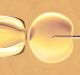 A technician at the Dutch clinic noticed a problem in a kind of in vitro fertilisation treatment known as ...