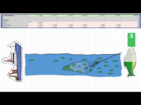 Conducting an Economic Analysis