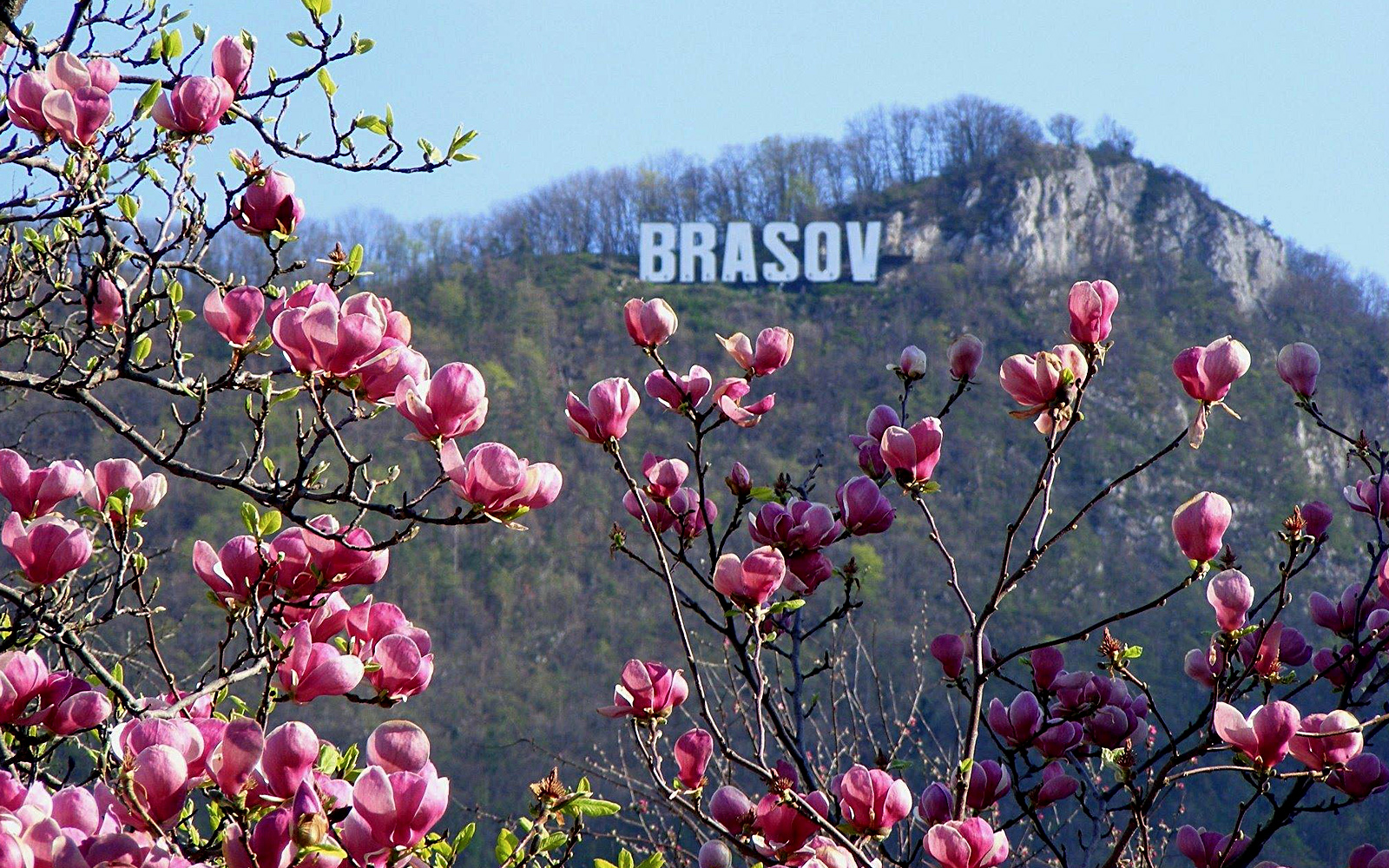 Brasov6