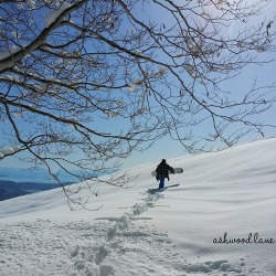 FINALIST: Mountain Monday.