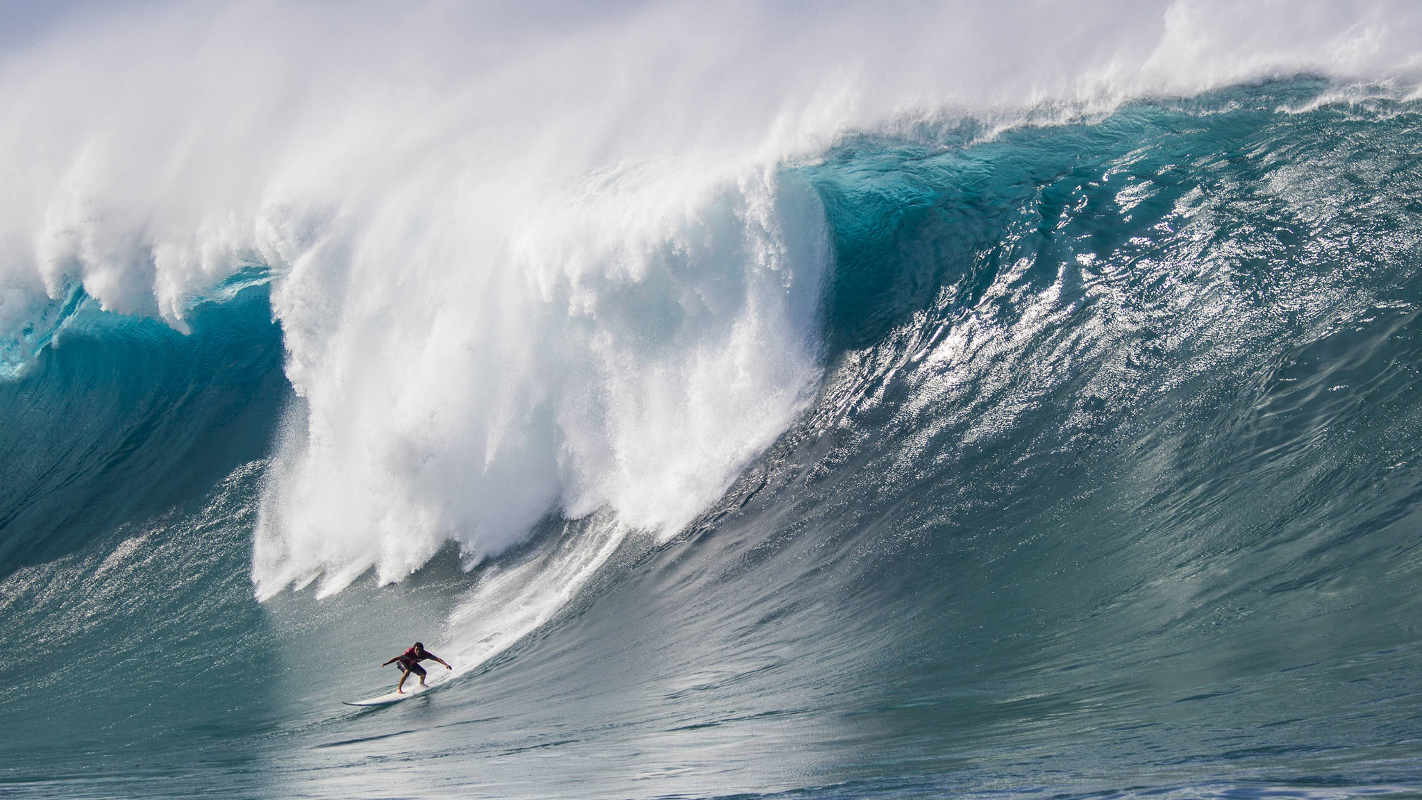 The Year in Surfing