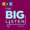 The Big Listen