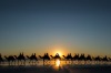 Sunset Silhouette - Taken with my Canon Fisheye Lens to capture a wide angle, I had just a few seconds to try and grab ...