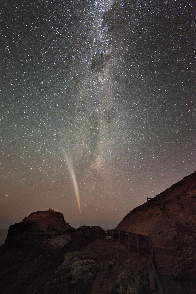 Lovejoy by Alex Cherney