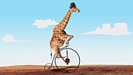 giraffe biker video