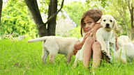 Little Girl Playing With Puppies video