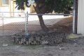 Police boxed in a crocodile at Karumba with hay bales and wheelie bins while waiting for wildlife experts from Cairns to ...