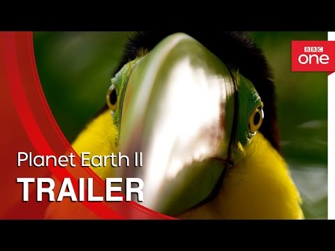 Planet Earth II: Trailer - BBC One