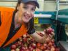 Narre nectarines head to China