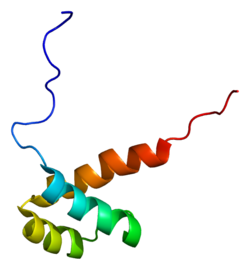 Protein ATBF1 PDB 2da1.png