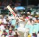 In command: David Warner reached his century three minutes prior to lunch.