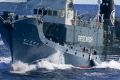 The Japanese whaling fleet operating in the Southern Ocean in 2013.
