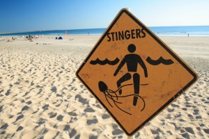 A jellyfish warning sign on a beach in Western Australia.
