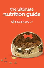 Nutrition guide