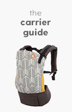 The Carrier Guide