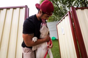 Shawn Tunumafono is reunited with his American bulldog Riko at the North Melbourne lost dogs home on January 1.