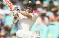 In command: David Warner reached his century three minutes prior to lunch.