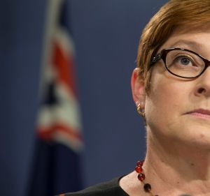 Defence Minister Marise Payne declined to give details of the RAAF's involvement.