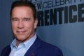 Arnold Schwarzenegger, the new boss of <i>The New Celebrity Apprentice</i>.