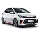 2017 Kia Picanto.