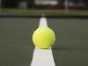 Tennis stars warned on match-fixing