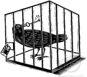 An illustration of a jail bird in black and white