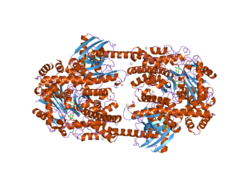 PDB 2nzt EBI.png