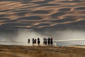 ABU DHABI, UNITED ARAB EMIRATES - JANUARY 03: