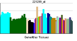 PBB GE GPR173 221299 at tn.png