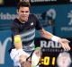 Big scalp: World number three Milos Raonic.