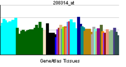 PBB GE RRH 208314 at tn.png