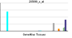 PBB GE GABBR1 205890 s at tn.png