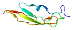 Protein GABBR1 PDB 1srz.png