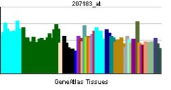 PBB GE GPR19 207183 at tn.png