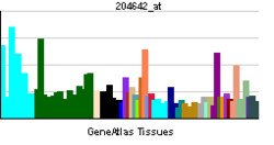 PBB GE EDG1 204642 at tn.png