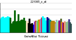 PBB GE GPR42 221385 s at tn.png