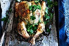 Roast tarragon chicken with lemon, caper and oliver salad.