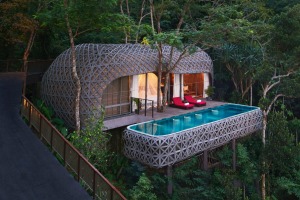 Something special: The bird's nest pool at Phuket's whimsical Keemala resort.