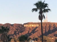 Hollyweed2017